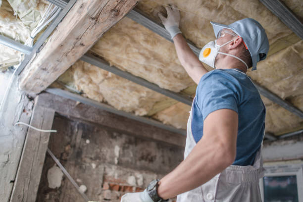 Best Spray Foam Insulation in Ponderosa Pine, NM